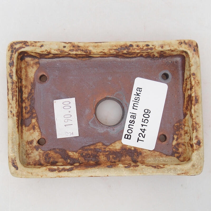 kerámia bonsai tál 10 x 7 x 2 cm, bézs színű