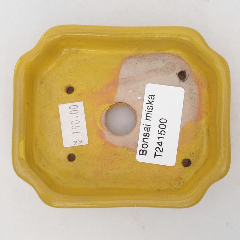 kerámia bonsai tál 10 x 8 x 2 cm, sárga