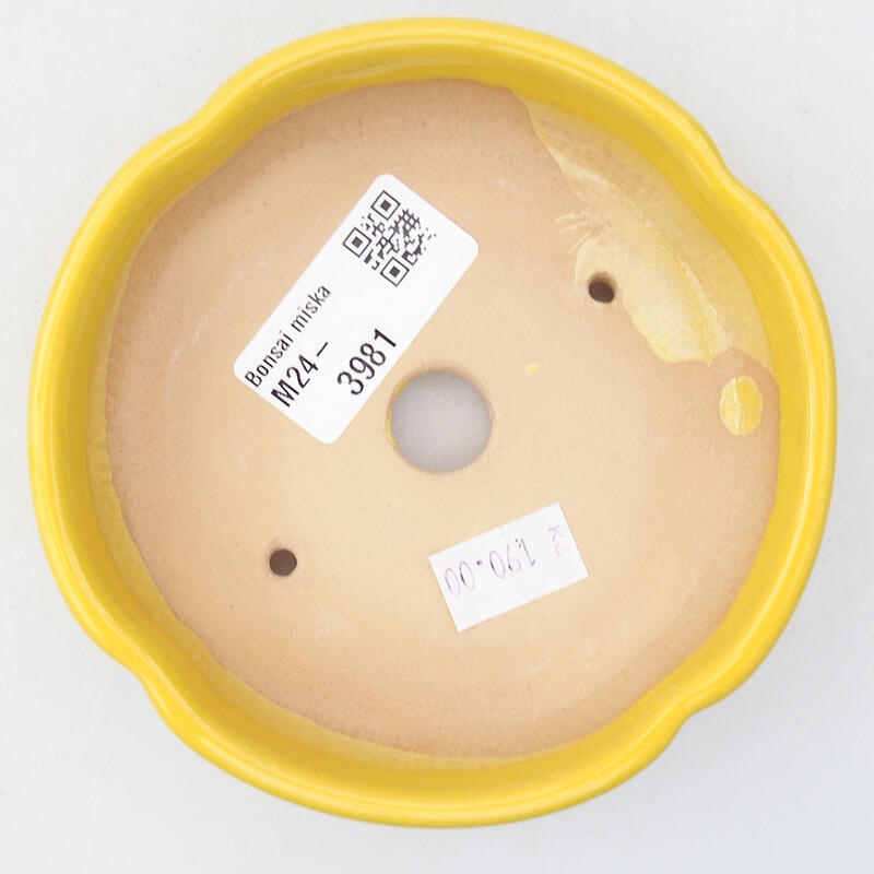 kerámia bonsai tál 11 x 11 x 3 cm, sárga