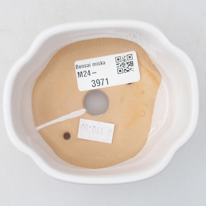 kerámia bonsai tál 11 x 8,5 x 3,5 cm, fehér