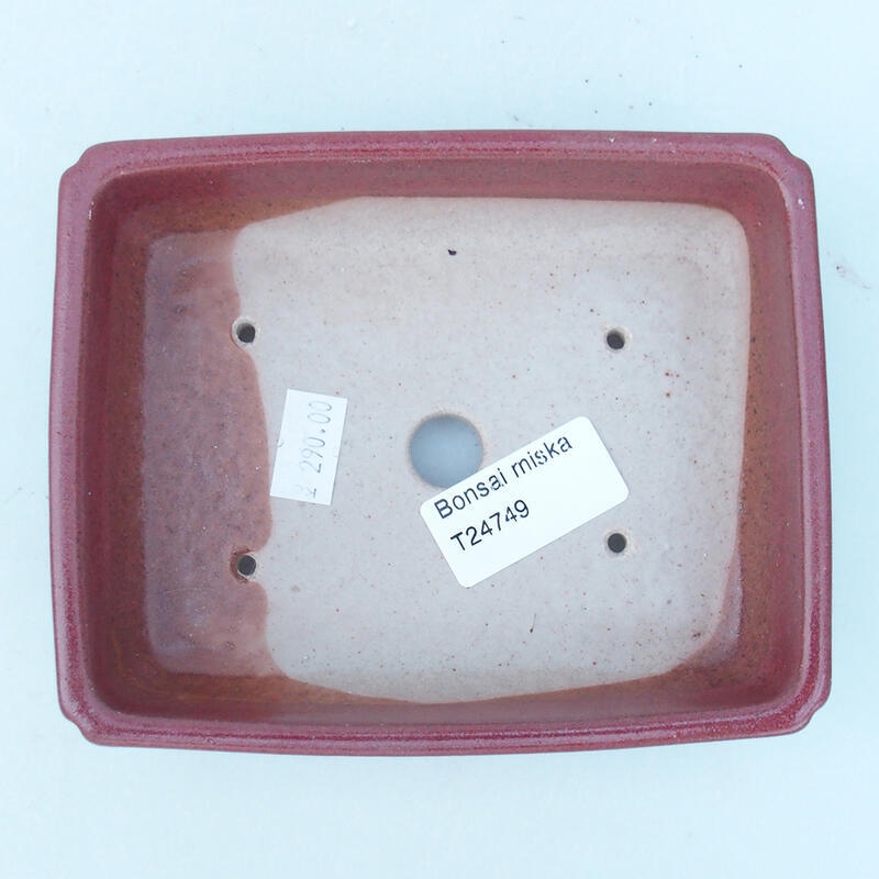 kerámia bonsai tál 14 x 11 x 4 cm, rózsaszínű