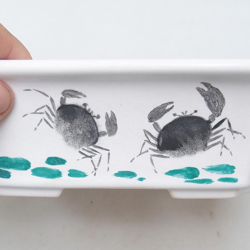 kerámia bonsai tál 22 x 18 x 7 cm, fehér