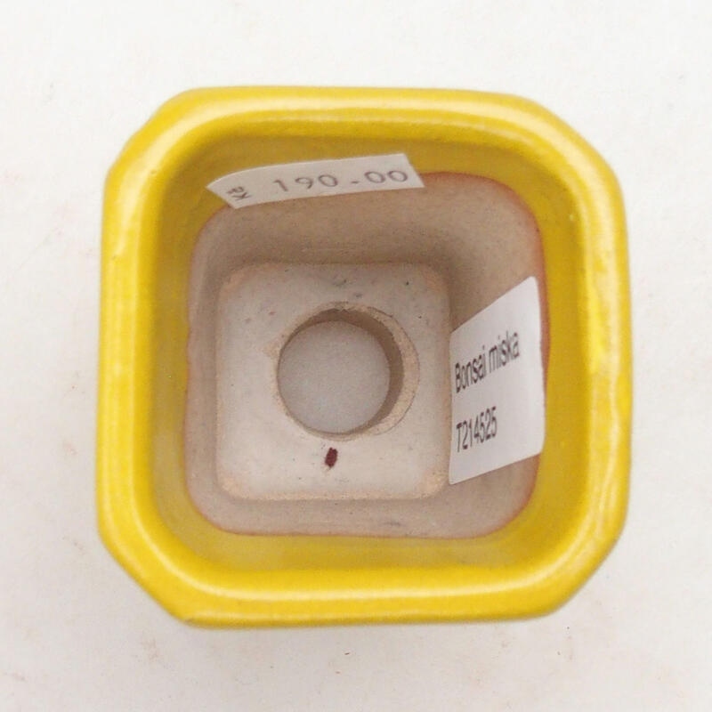 kerámia bonsai tál 5,5 x 5,5 x 7 cm, sárga