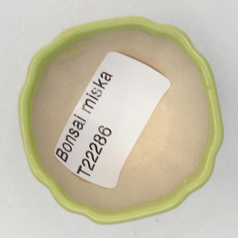 kerámia bonsai tál 5 x 5 x 2,5 cm, zöld