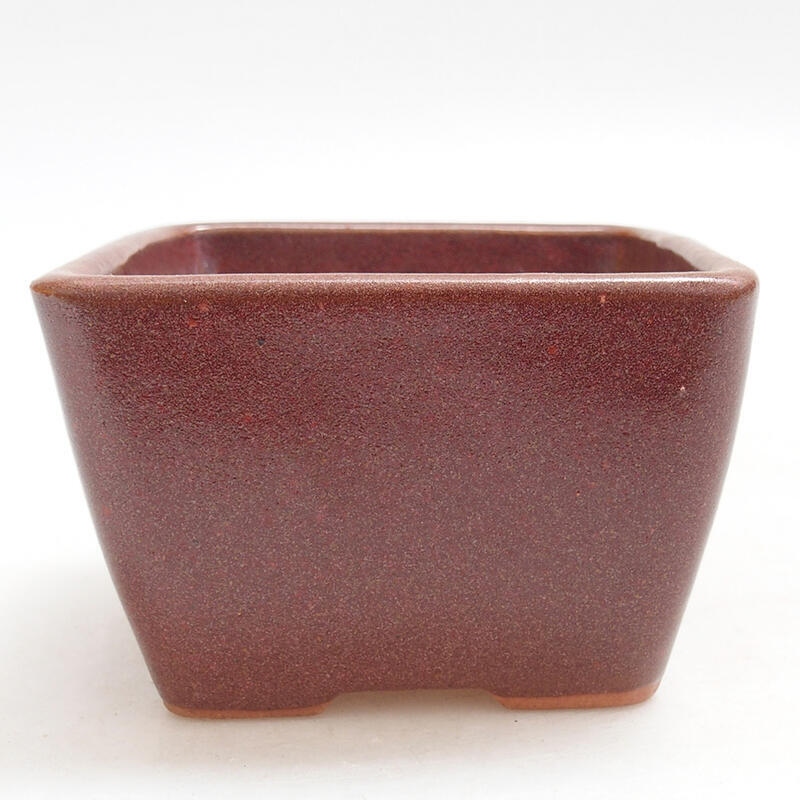 kerámia bonsai tál 8,5 x 8,5 x 5,5 cm, bordó színben