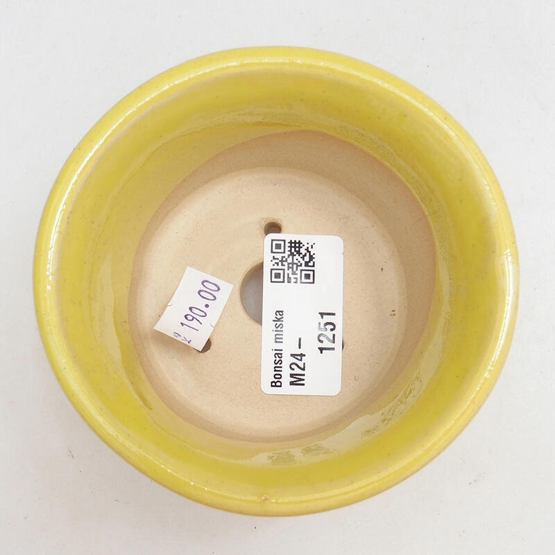 kerámia bonsai tál 9,5 x 9,5 x 5,5 cm, sárga