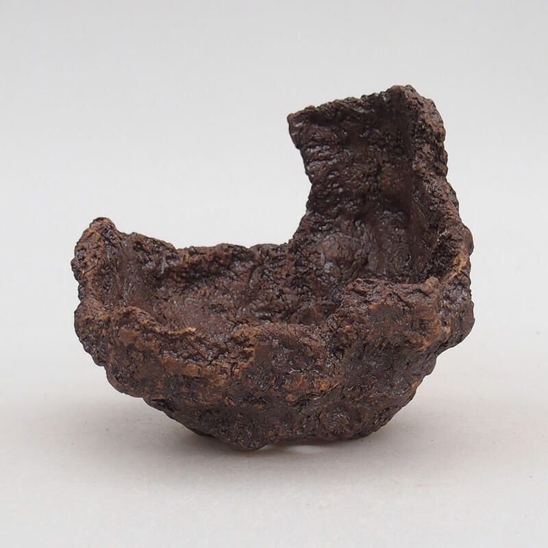 Kerámia kagyló 10 x 11 x 9,5 cm , színe barna