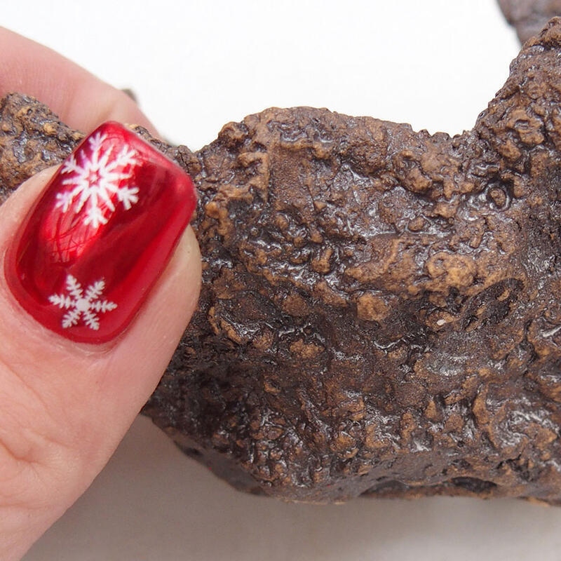 Kerámia kagyló 10 x 11 x 9,5 cm , színe barna