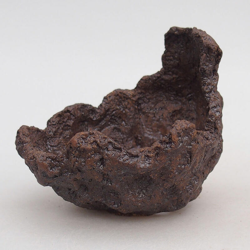 Kerámia kagyló 10 x 11 x 9 cm , barna színű