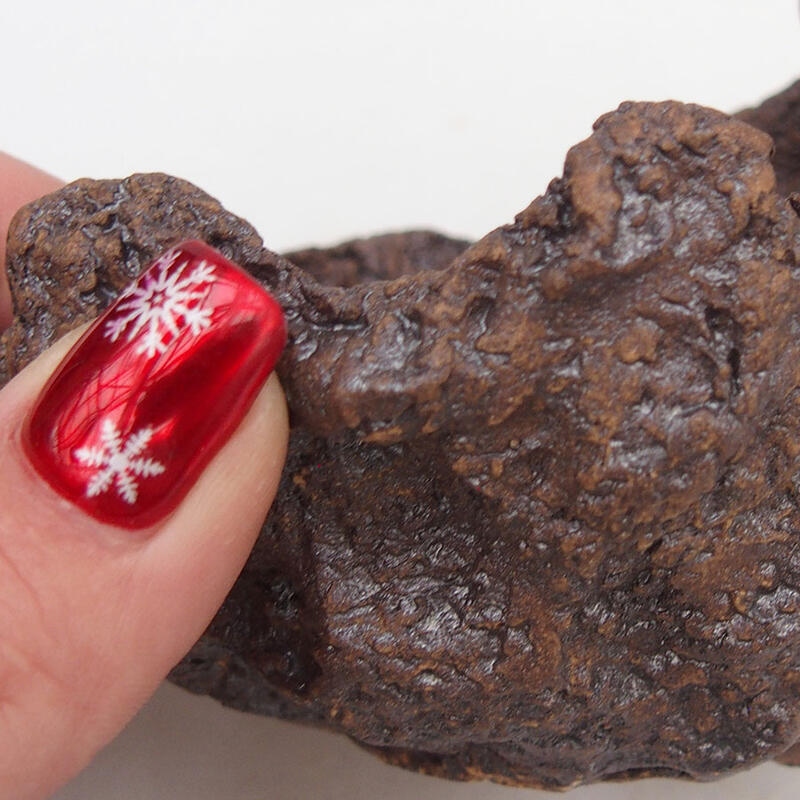 Kerámia kagyló 10 x 11 x 9 cm , barna színű