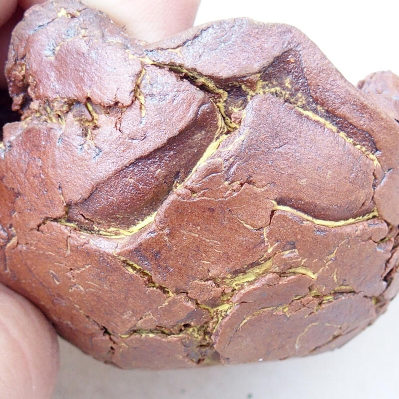 Kerámia kagyló 4,5 x 4,5 x 4 cm , fekete színben