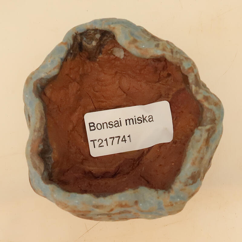 Kerámia kagyló 4,5 x 4,5 x 7 cm , kék színű