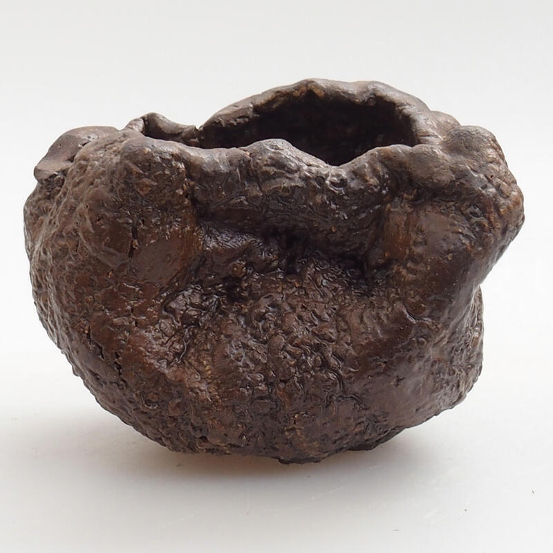 Kerámia kagyló 5 x 3 x 5 cm , színe zöld-barna