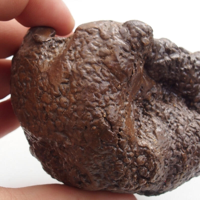 Kerámia kagyló 5 x 3 x 5 cm , színe zöld-barna