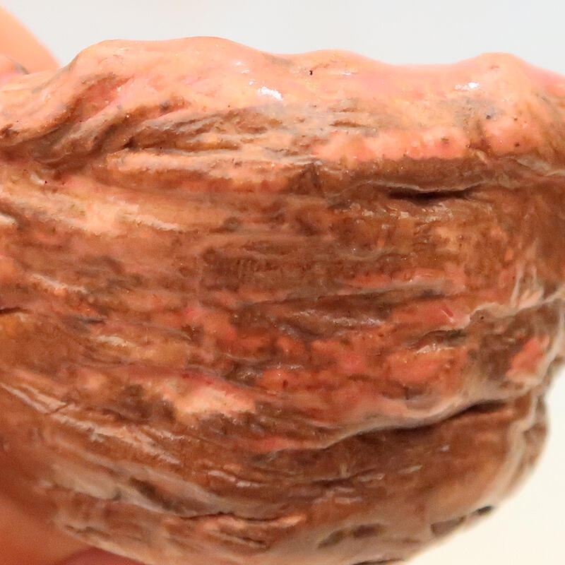 Kerámia kagyló 5 x 5 x 6 cm , rózsaszín színben