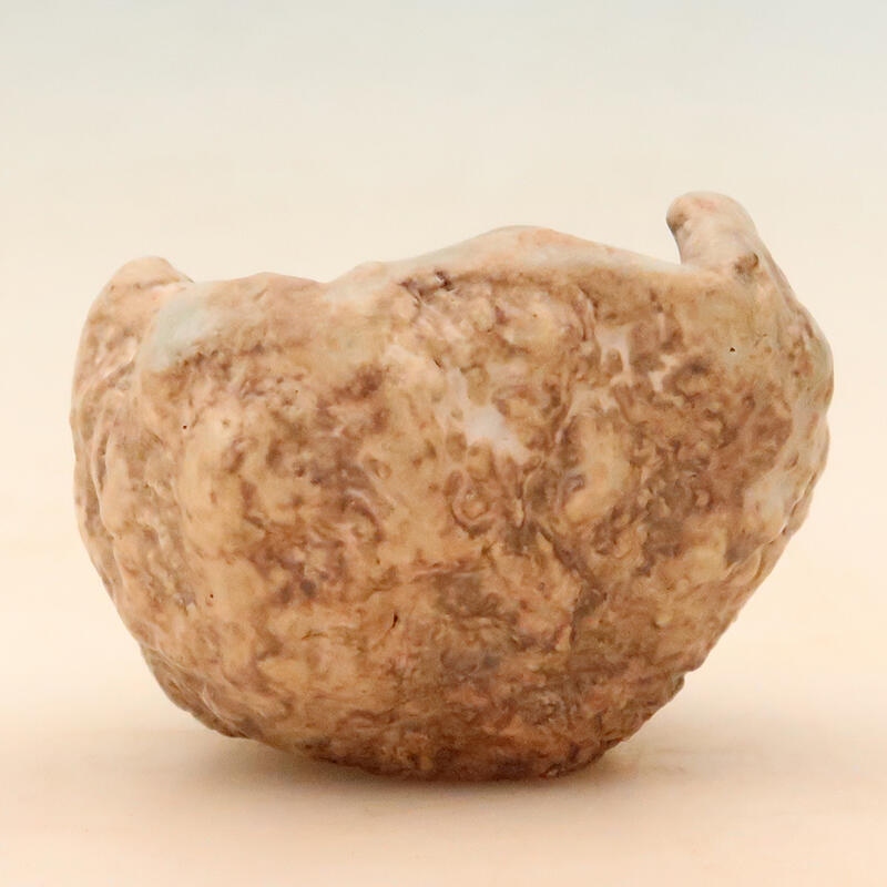 Kerámia kagyló 5 x 5 x 8 cm , bézs színű