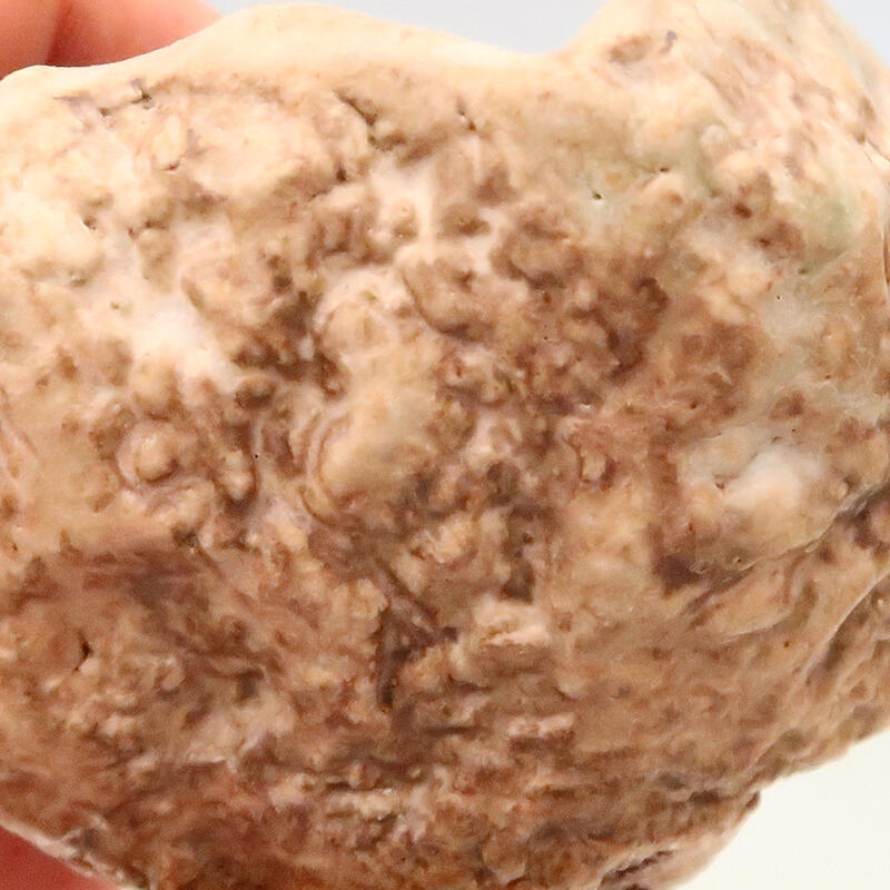 Kerámia kagyló 5 x 5 x 8 cm , bézs színű