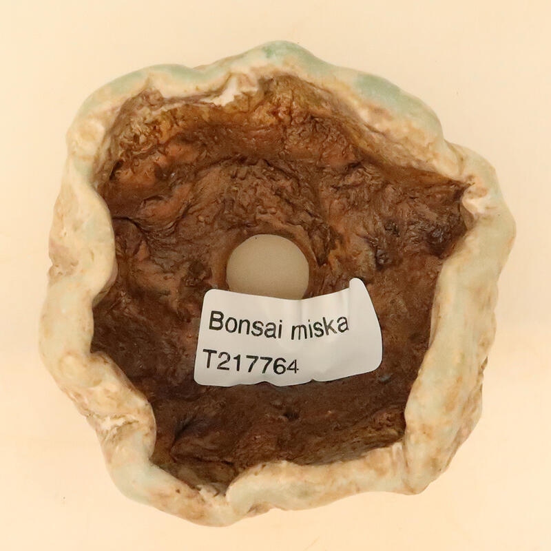 Kerámia kagyló 5 x 5 x 8 cm , bézs színű