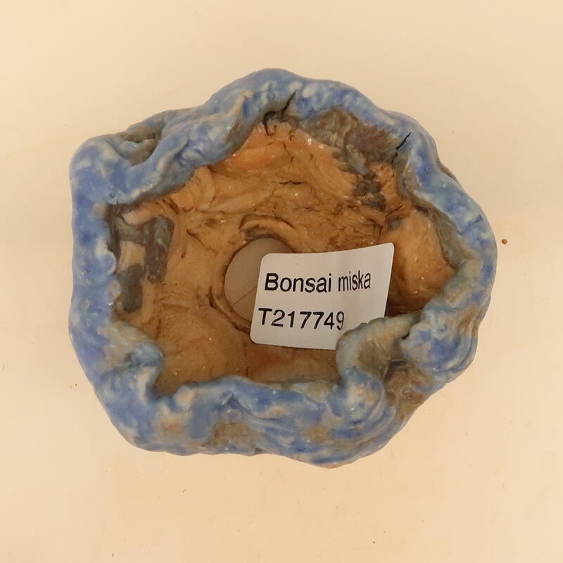 Kerámia kagyló 5 x 5 x 8 cm , kék színű