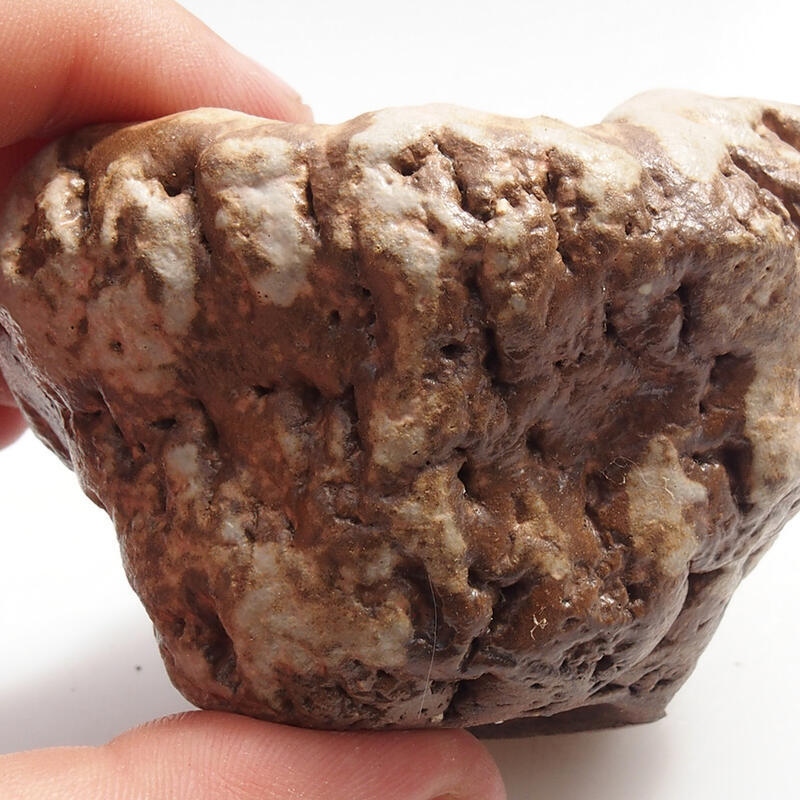 Kerámia kagyló 5 x 6 x 6 cm , színe zöld-barna