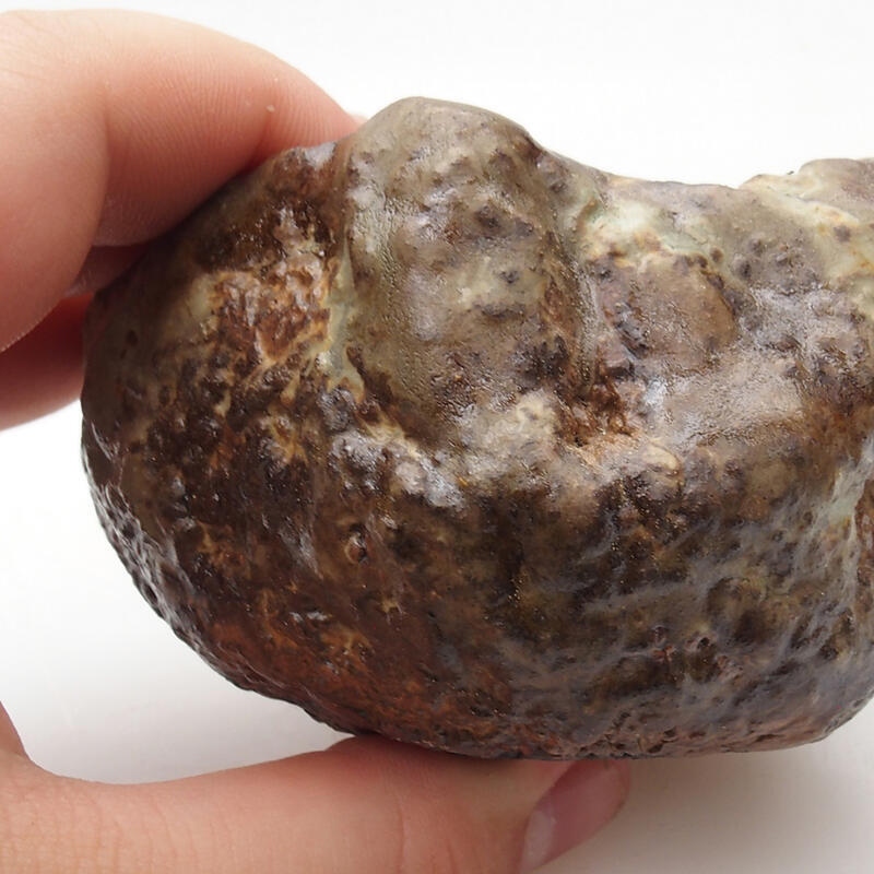 Kerámia kagyló 6,5 x 5 x 5 cm , színe zöld-barna