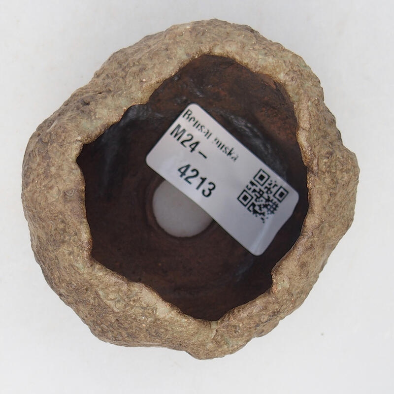 Kerámia kagyló 6,5 x 6,5 x 5,5 cm , bézs színű