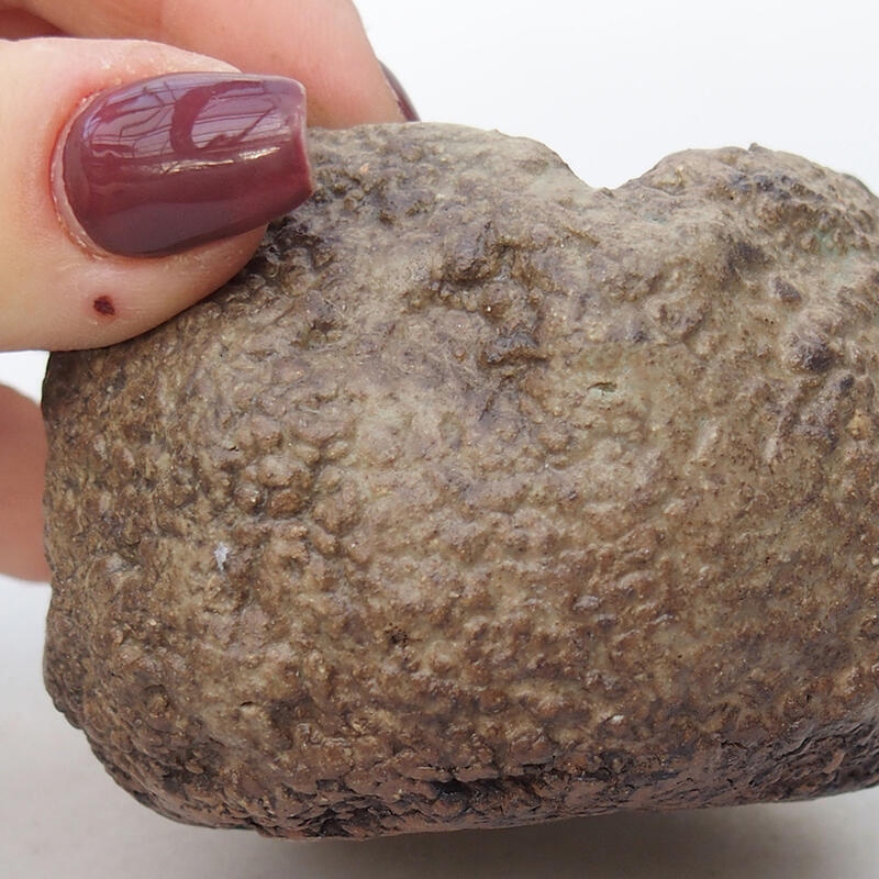 Kerámia kagyló 6,5 x 6,5 x 5,5 cm , bézs színű