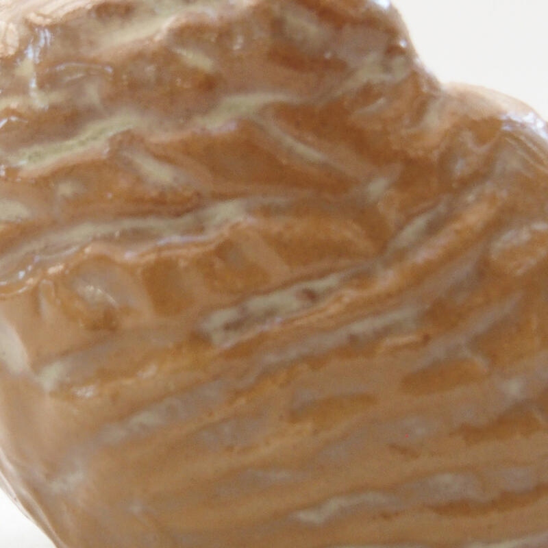 Kerámia kagyló 6 x 5,5 x 4 cm , bézs színű