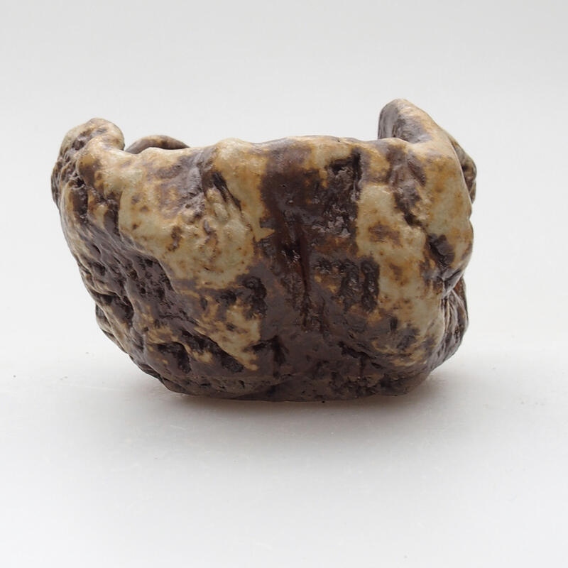 Kerámia kagyló 6 x 5 x 4 cm , szín fehér-barna