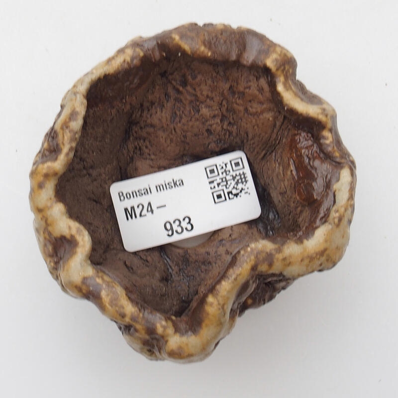 Kerámia kagyló 6 x 5 x 4 cm , szín fehér-barna