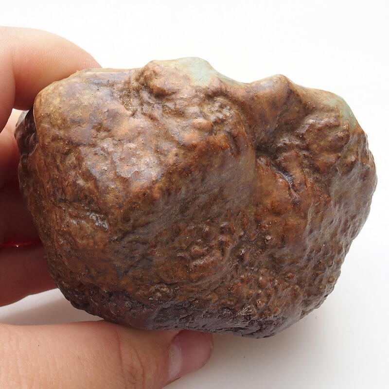 Kerámia kagyló 6 x 5 x 5,5 cm , színe zöld-barna