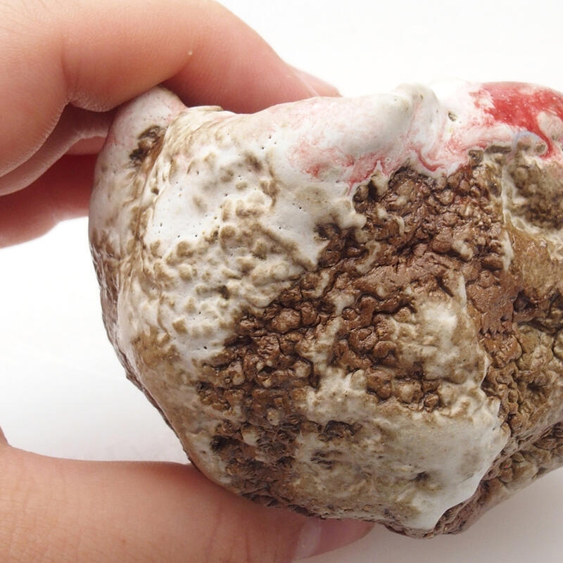 Kerámia kagyló 6 x 5 x 6 cm , piros és fehér színben