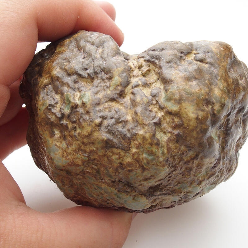 Kerámia kagyló 6 x 5 x 6 cm , színe zöld-barna