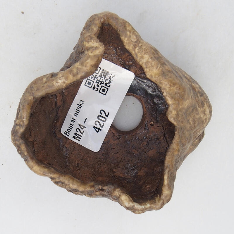 Kerámia kagyló 6 x 6 x 4,5 cm , bézs színű