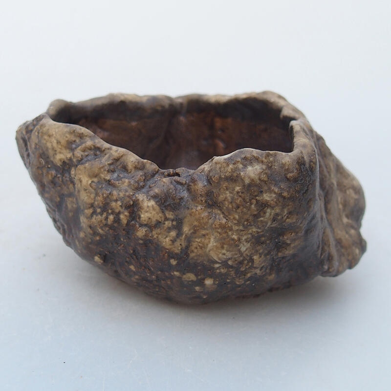 Kerámia kagyló 6 x 6 x 4,5 cm , bézs színű