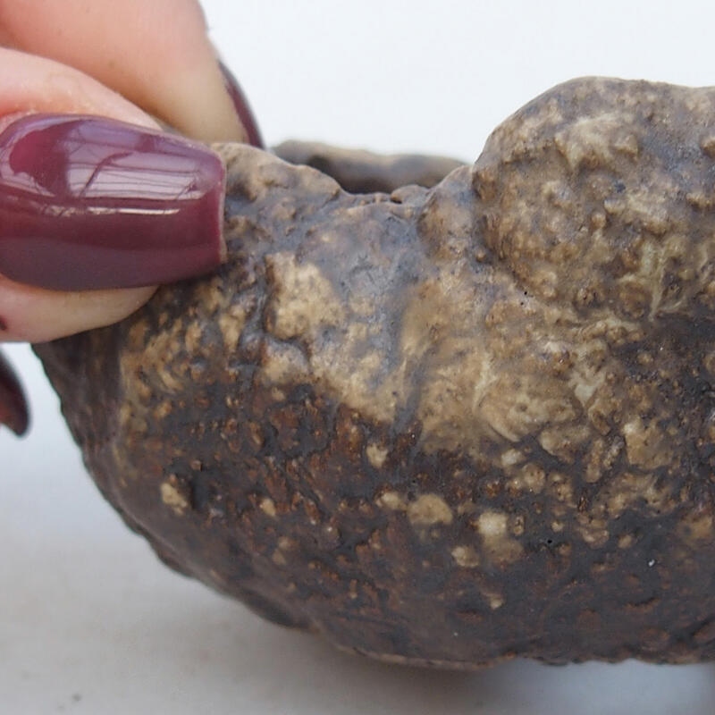 Kerámia kagyló 6 x 6 x 4,5 cm , bézs színű