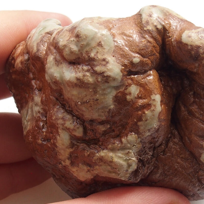 Kerámia kagyló 6 x 6 x 5 cm , színe zöld-barna