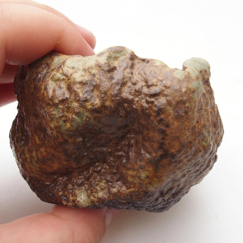 Kerámia kagyló 6 x 6 x 5 cm , színe zöld-barna