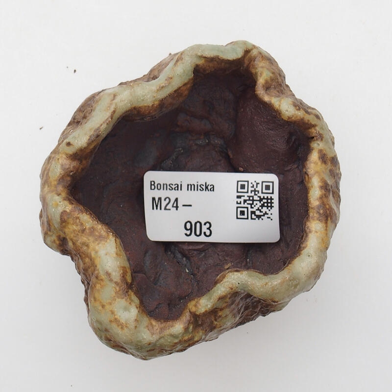 Kerámia kagyló 6 x 6 x 5 cm , színe zöld-barna