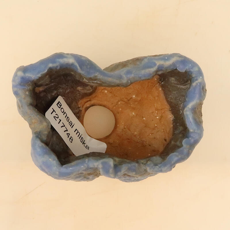 Kerámia kagyló 6 x 6 x 9 cm , kék színű