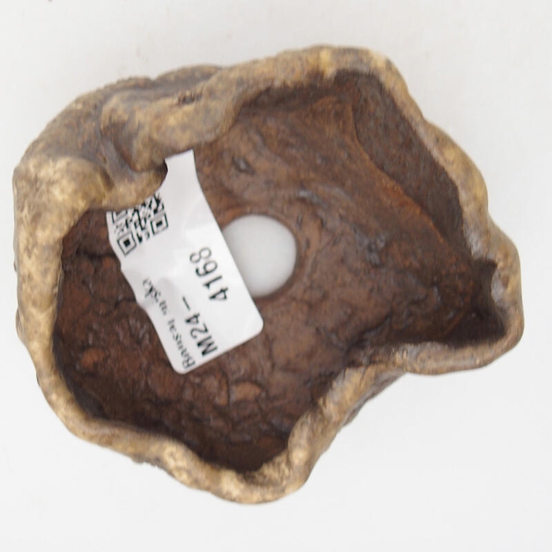 Kerámia kagyló 7,5 x 6,5 x 4,5 cm , színe barna