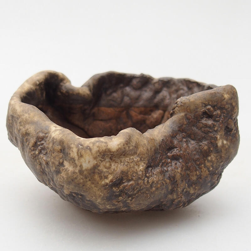 Kerámia kagyló 7,5 x 6,5 x 4,5 cm , színe barna