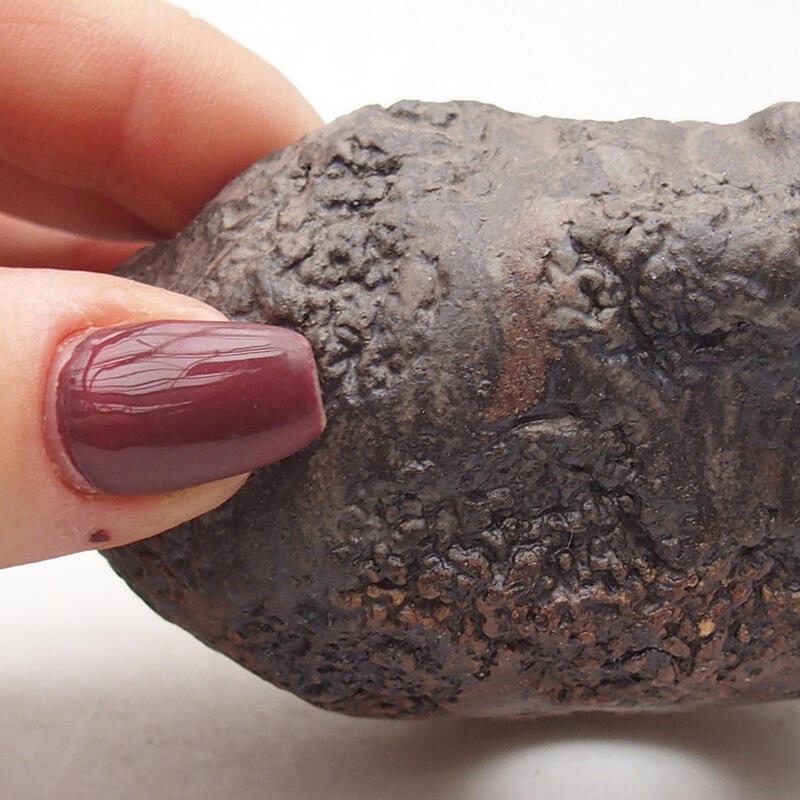 Kerámia kagyló 7,5 x 6,5 x 5,5 cm , színe barna