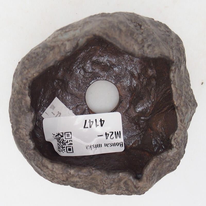 Kerámia kagyló 7,5 x 6,5 x 5,5 cm , színe barna