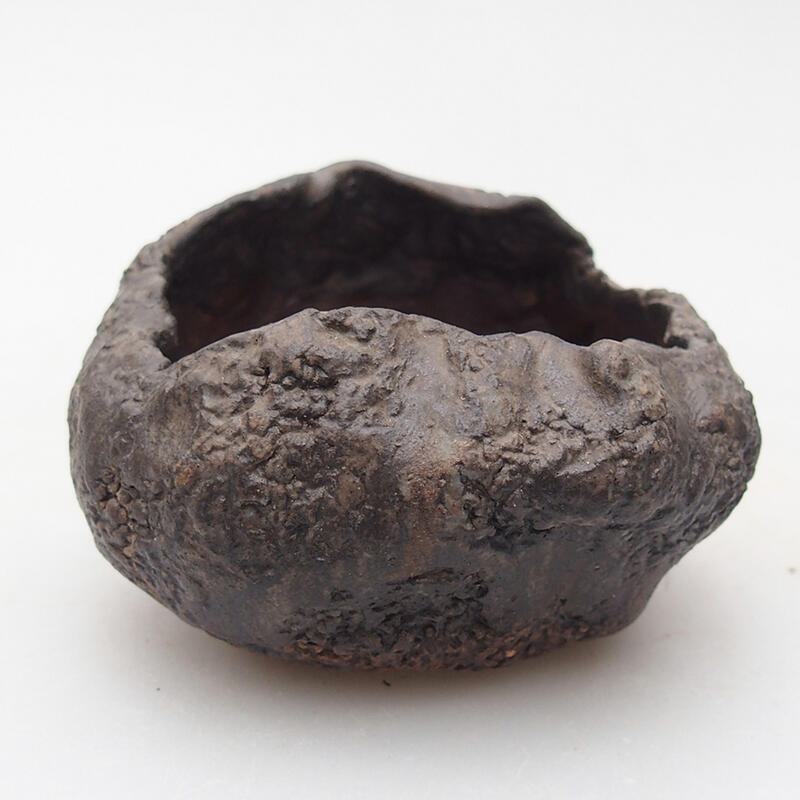 Kerámia kagyló 7,5 x 6,5 x 5,5 cm , színe barna