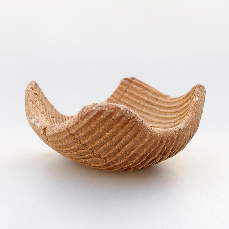 Kerámia kagyló 7,5 x 7,5 x 4 cm , fekete színben