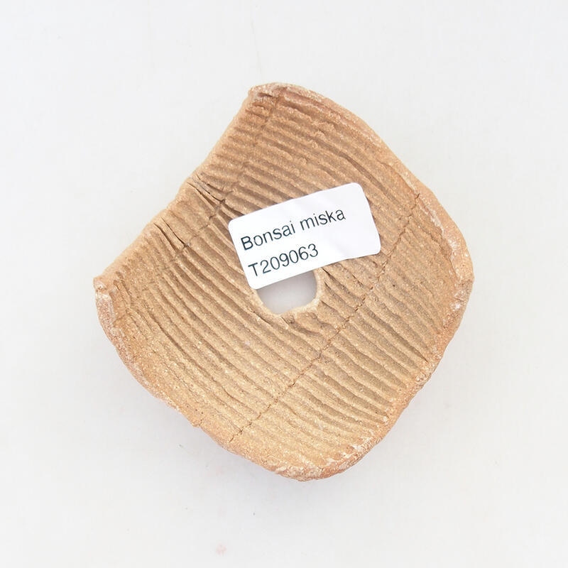 Kerámia kagyló 7,5 x 7,5 x 4 cm , fekete színben