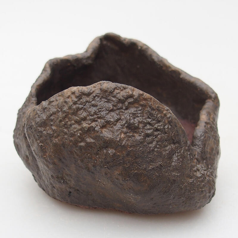 Kerámia kagyló 7,5 x 7,5 x 6 cm , barna színű