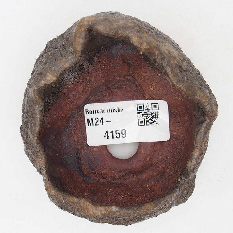 Kerámia kagyló 7,5 x 7,5 x 6 cm , barna színű