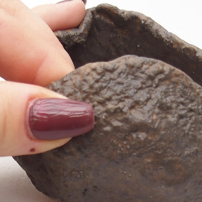 Kerámia kagyló 7,5 x 7,5 x 6 cm , barna színű